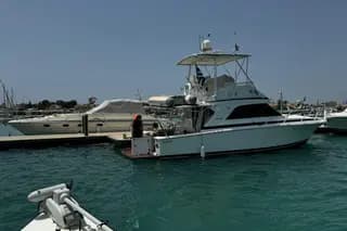 2000 Bertram 36 SF - Legendary Sportfish Performance & Comfort - Thumbnail 6