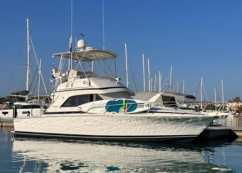 2000 Bertram 36 SF - Legendary Sportfish Performance & Comfort - Main image