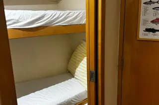 2000 Bertram 36 SF - Legendary Sportfish Performance & Comfort - Thumbnail 25