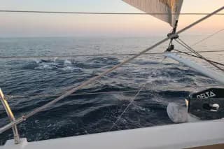 2023 Privilege Signature 510 Catamaran - Thumbnail 10