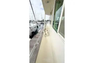2007 360 Sedan Trawler — photo 14