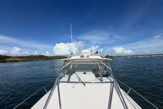 2009 Grady-White 330 Express — photo 13